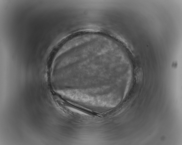 X0000097661448200803211908