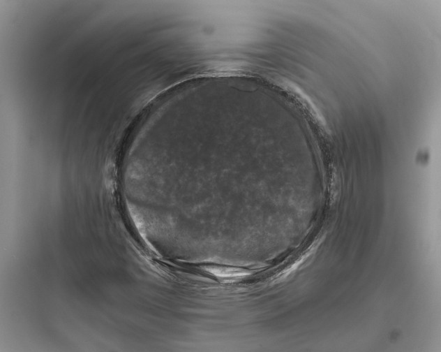 X0000097661449200803211908
