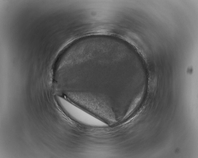 X0000097661450200803211908