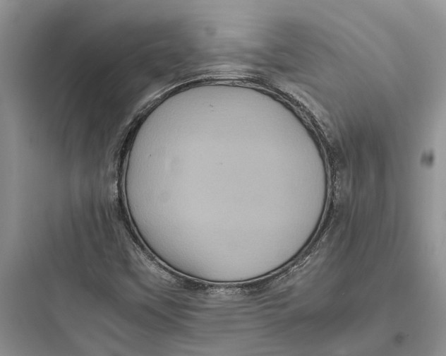 X0000097661451200803211908