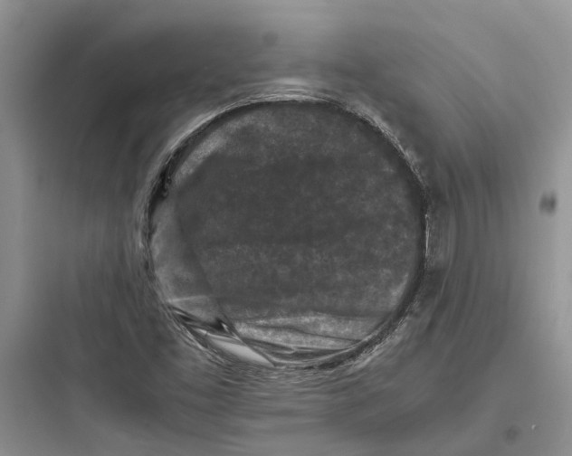 X0000097661453200803211908