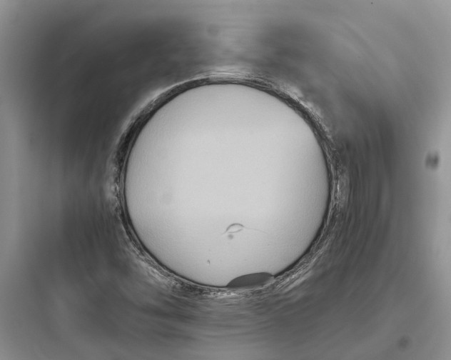 X0000097661454200803211908