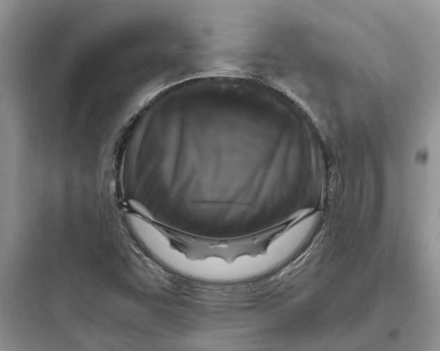 X0000097661455200803211908