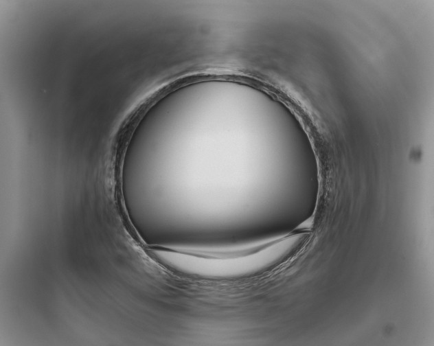 X0000097661456200803211908