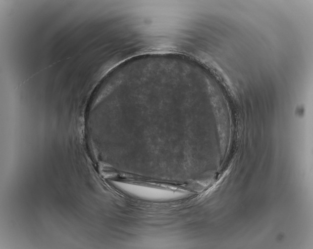 X0000097661457200803211908