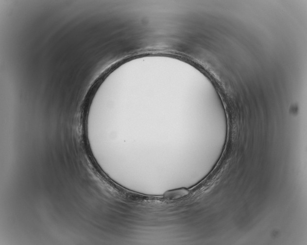 X0000097661458200803211908