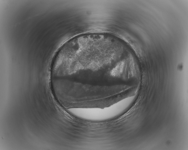 X0000097661459200803211908