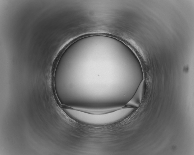 X0000097661460200803211908