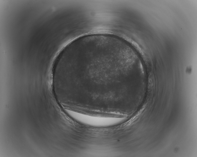 X0000097661461200803211908