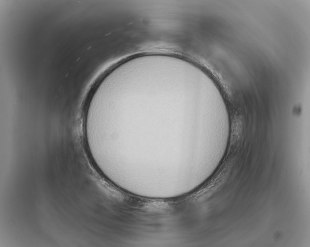 X0000097661462200803211908
