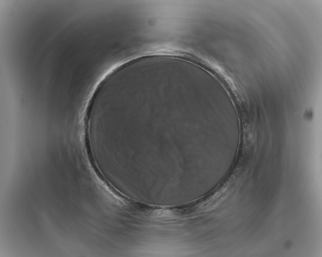 X0000097661463200803211908
