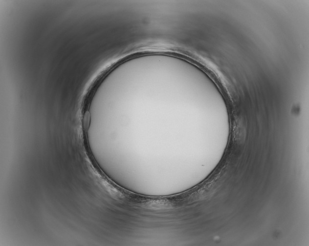 X0000097661464200803211908