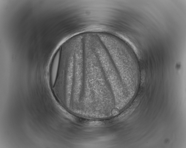 X0000097661467200803211908