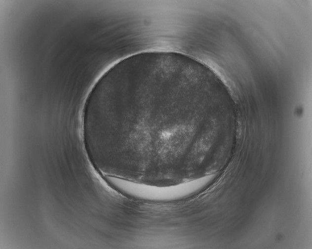 X0000097661468200803211908