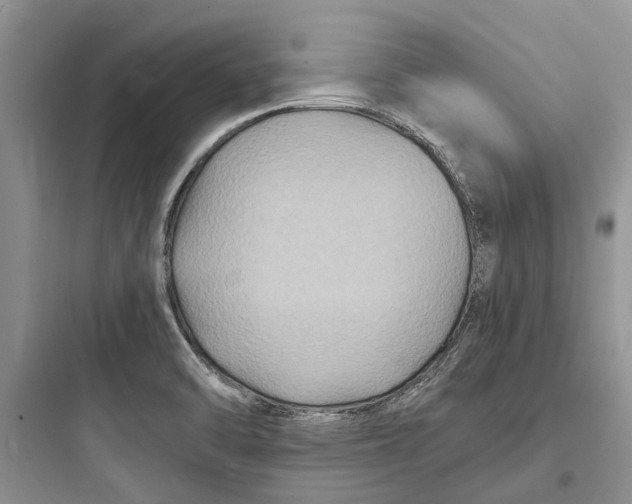 X0000097661470200803211908