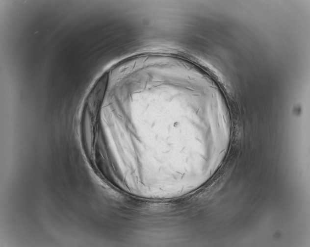X0000097661471200803211908