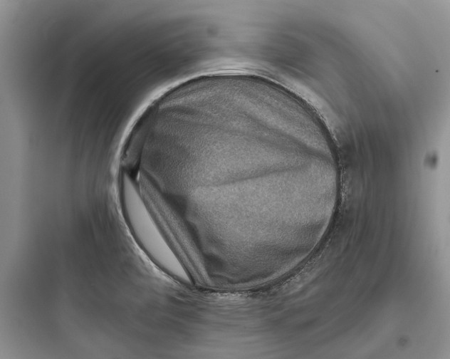X0000097661472200803211908
