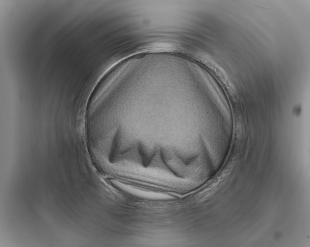 X0000097661473200803211908
