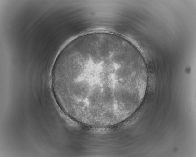 X0000097661474200803211908