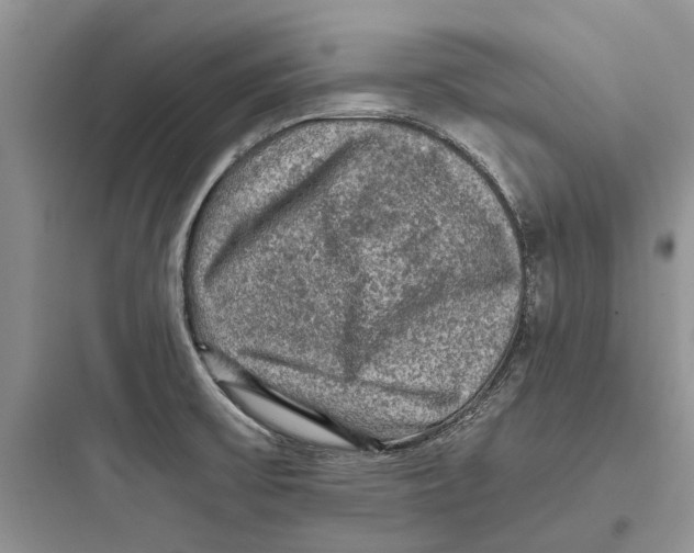 X0000097661475200803211908