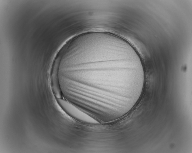 X0000097661476200803211908