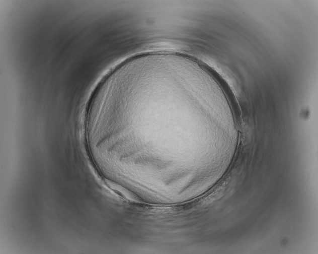 X0000097661477200803211908