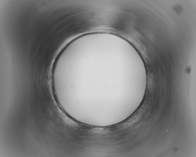 X0000097661478200803211908