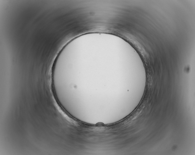 X0000097661479200803211908