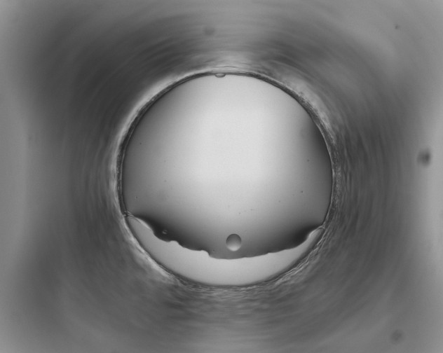 X0000097661480200803211908
