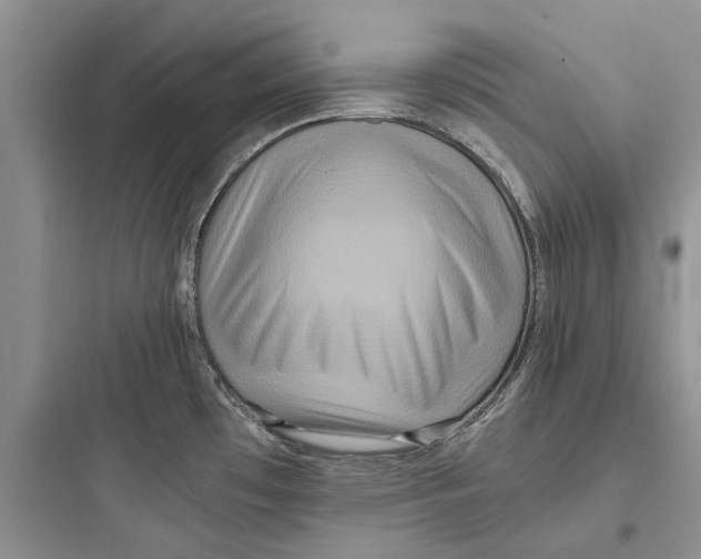 X0000097661481200803211908