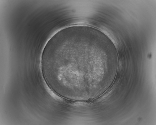 X0000097661482200803211908