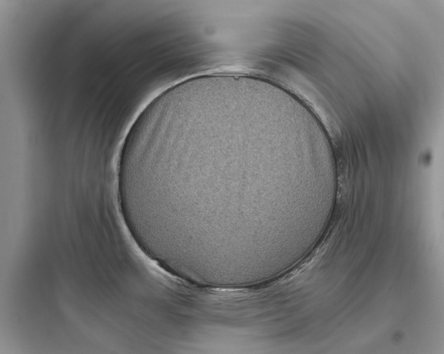 X0000097661483200803211908