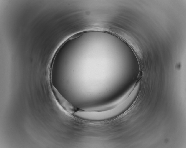 X0000097661484200803211908