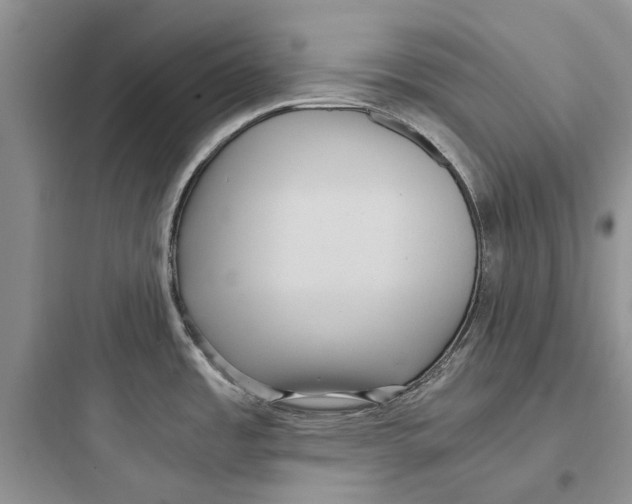 X0000097661485200803211908