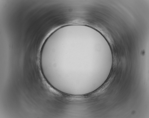 X0000097661486200803211908