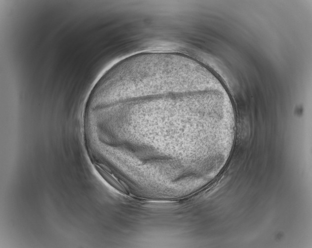 X0000097661487200803211908
