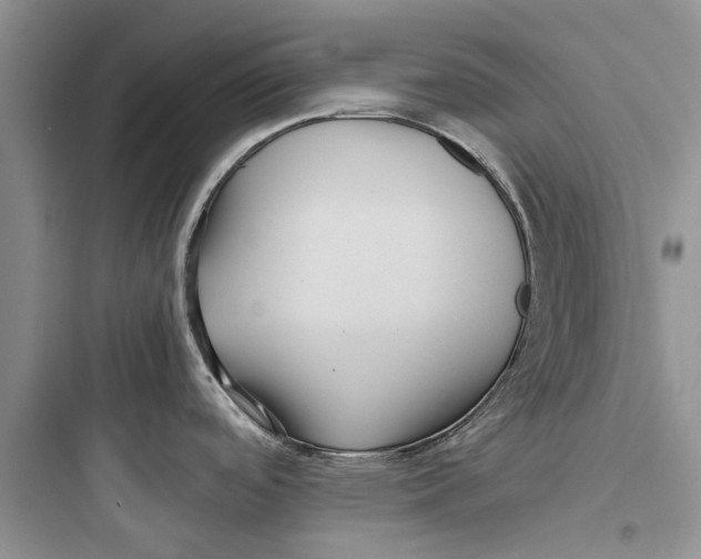 X0000097661488200803211908