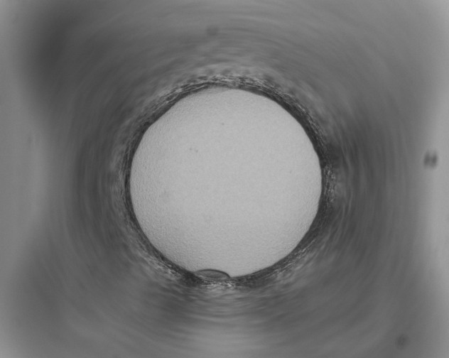 X0000097661489200803211907