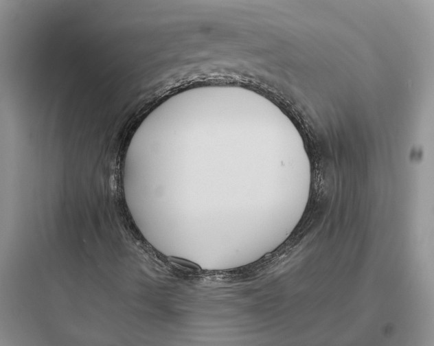 X0000097661490200803211907