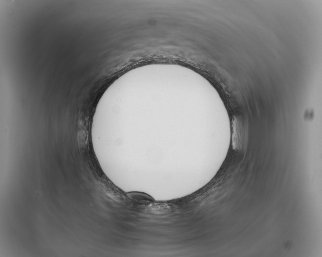 X0000097661491200803211907