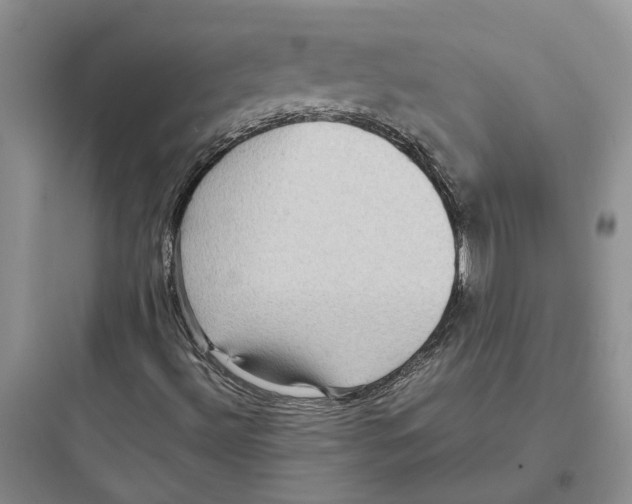 X0000097661492200803211907