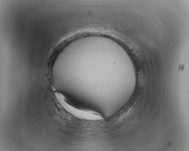 X0000097661494200803211907