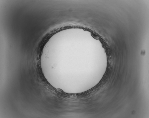X0000097661495200803211907