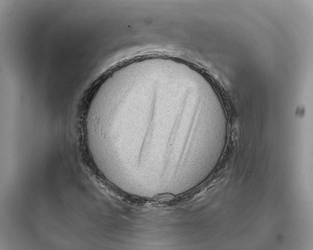 X0000097661496200803211907