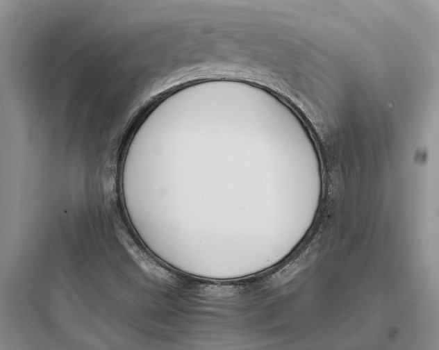 X0000097661499200803211907