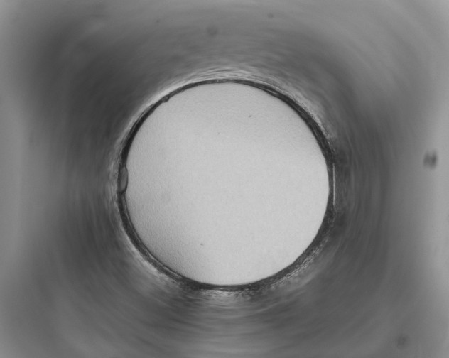 X0000097661500200803211907