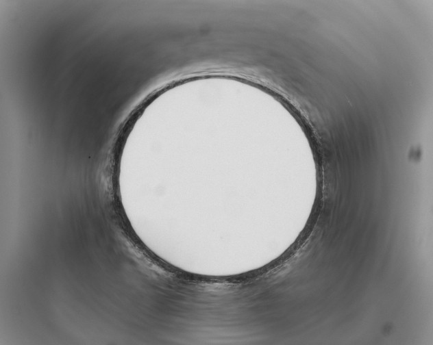 X0000097661502200803211907