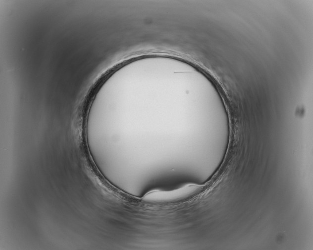 X0000097661503200803211907