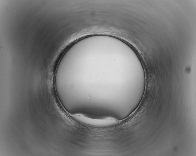 X0000097661507200803211907