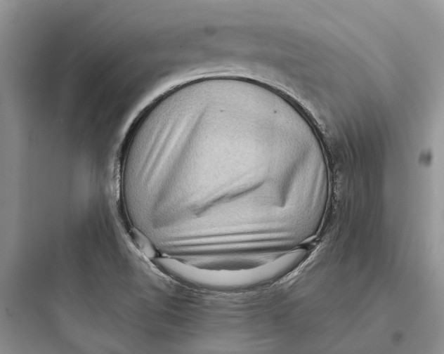 X0000097661510200803211907